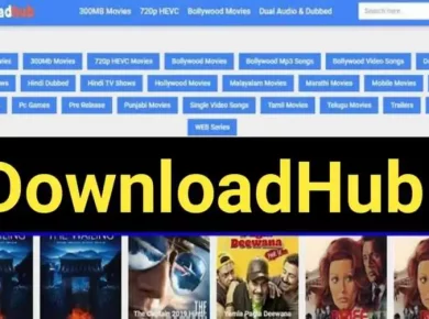 Downloadhub